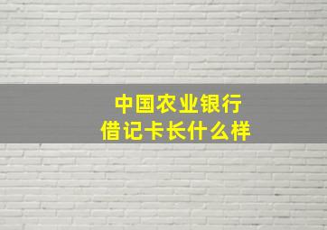 中国农业银行借记卡长什么样