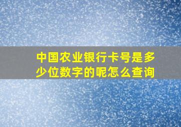 中国农业银行卡号是多少位数字的呢怎么查询