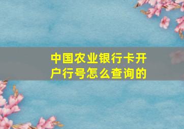 中国农业银行卡开户行号怎么查询的