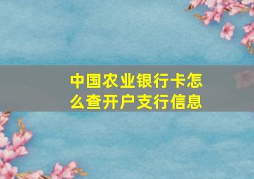 中国农业银行卡怎么查开户支行信息