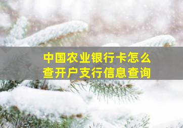 中国农业银行卡怎么查开户支行信息查询