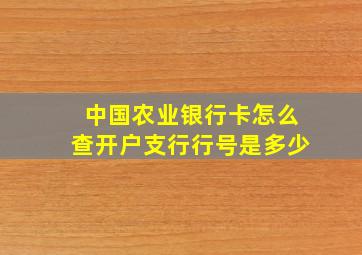 中国农业银行卡怎么查开户支行行号是多少