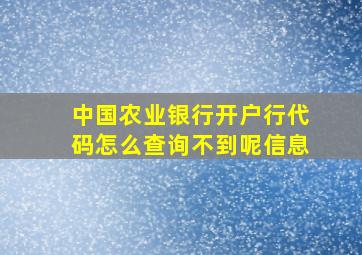 中国农业银行开户行代码怎么查询不到呢信息