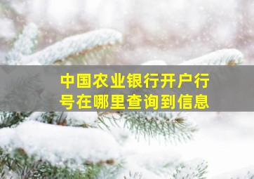 中国农业银行开户行号在哪里查询到信息