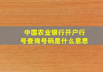 中国农业银行开户行号查询号码是什么意思