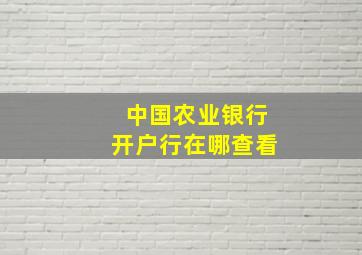 中国农业银行开户行在哪查看