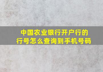 中国农业银行开户行的行号怎么查询到手机号码