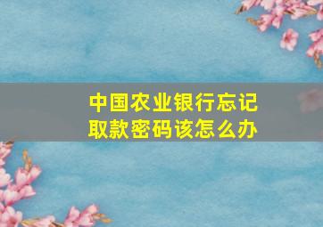 中国农业银行忘记取款密码该怎么办