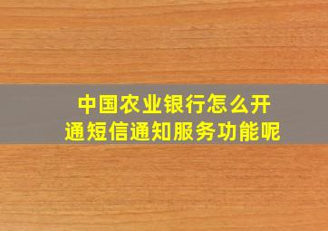 中国农业银行怎么开通短信通知服务功能呢