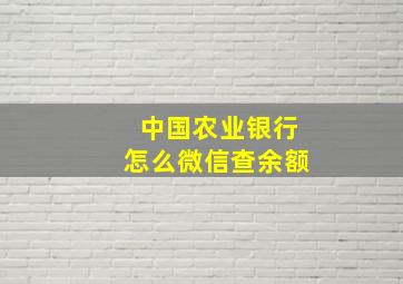 中国农业银行怎么微信查余额