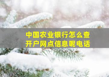 中国农业银行怎么查开户网点信息呢电话