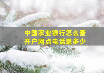 中国农业银行怎么查开户网点电话是多少