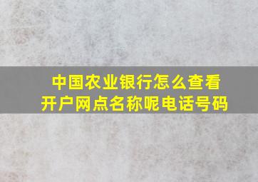 中国农业银行怎么查看开户网点名称呢电话号码