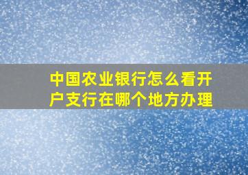 中国农业银行怎么看开户支行在哪个地方办理