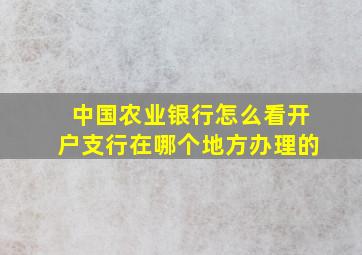 中国农业银行怎么看开户支行在哪个地方办理的