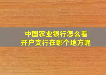 中国农业银行怎么看开户支行在哪个地方呢