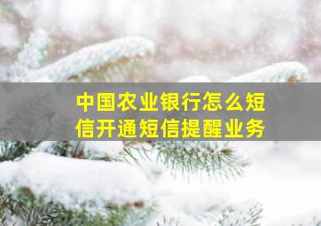 中国农业银行怎么短信开通短信提醒业务