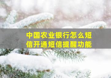 中国农业银行怎么短信开通短信提醒功能