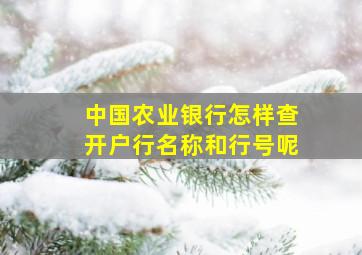 中国农业银行怎样查开户行名称和行号呢