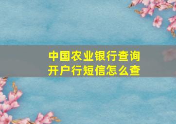 中国农业银行查询开户行短信怎么查