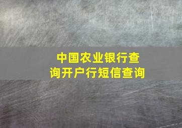 中国农业银行查询开户行短信查询