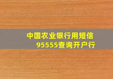 中国农业银行用短信95555查询开户行