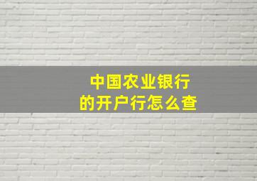 中国农业银行的开户行怎么查