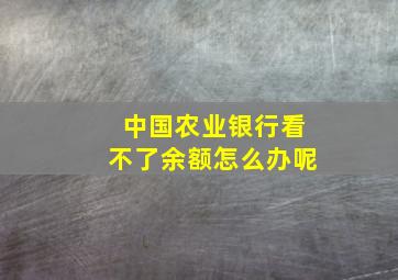 中国农业银行看不了余额怎么办呢