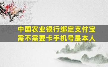 中国农业银行绑定支付宝需不需要卡手机号是本人