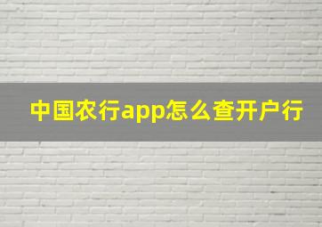 中国农行app怎么查开户行