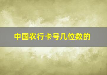 中国农行卡号几位数的