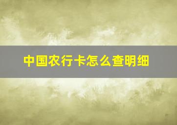 中国农行卡怎么查明细