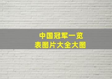 中国冠军一览表图片大全大图