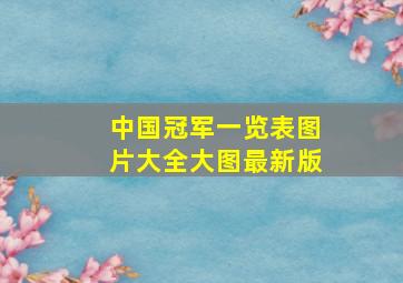 中国冠军一览表图片大全大图最新版