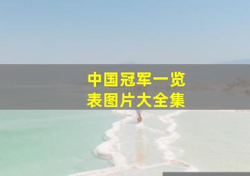 中国冠军一览表图片大全集