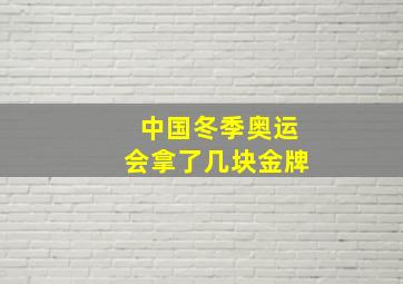 中国冬季奥运会拿了几块金牌