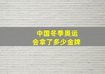 中国冬季奥运会拿了多少金牌