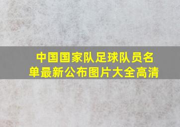 中国国家队足球队员名单最新公布图片大全高清