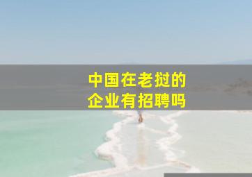 中国在老挝的企业有招聘吗