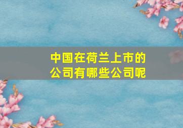 中国在荷兰上市的公司有哪些公司呢