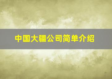 中国大疆公司简单介绍