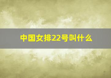 中国女排22号叫什么