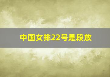 中国女排22号是段放