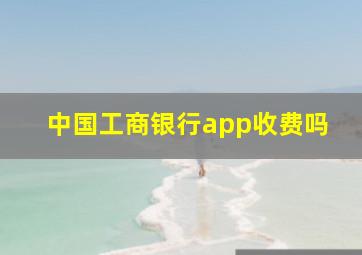 中国工商银行app收费吗