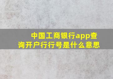 中国工商银行app查询开户行行号是什么意思