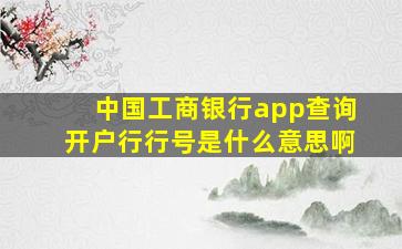 中国工商银行app查询开户行行号是什么意思啊