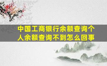 中国工商银行余额查询个人余额查询不到怎么回事