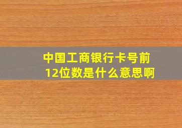 中国工商银行卡号前12位数是什么意思啊