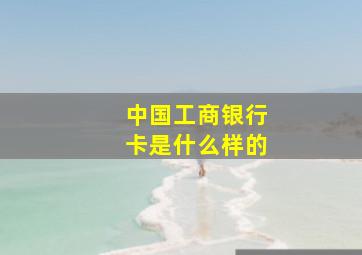 中国工商银行卡是什么样的