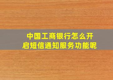 中国工商银行怎么开启短信通知服务功能呢